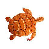 Plush Turtle Toy (TPHY0085)
