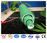 High Quality PPR Pipe for Drinking Water Supply RP132