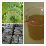 Calcium Amino Acid Chelate Organic Fertilizer