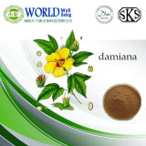 Herbal Medicine for Sex Improvement Damiana Leaf Extract 4: 1.10: 1