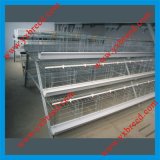 Poultry Products for Layers