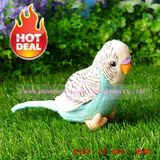 13cm Simulation Lory Plush Toys (light blue)