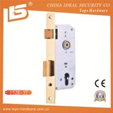 High Quality Mortise Lock Body (152R-3T)