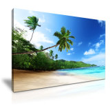 High Quality Framed Canvas Art Picture for Decoration Gift