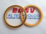 Spring Energized Seal