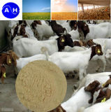 High Content Protein Feed Addtive (amino acid powder)