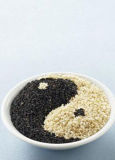 Best Quality White and Black Sesame Seed