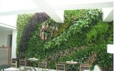High Quality Artificial Plants and Flowers of Green Wall Gu-Wall05182958
