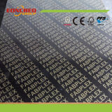 Hot Sale Brown Film Faced Plywood for Shuttering