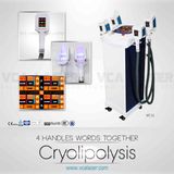 Body Slimming Weight Loss Cryolipolysis Freezing Equipment