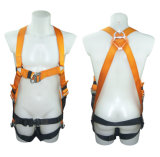 Safety Harness - 2 D Ring, Model#DHQS066