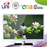 Promotion 32 Inch LED TV with CCC, CE CB Approval