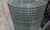 Galvanized Wire Mesh Factory