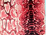 Snake Fabric