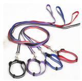Nylon Pet Leash with Different Size