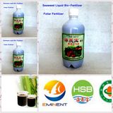 1 Foliage Fertilizer-Made by Algae Biobacterial