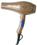 Professional Hair Dryer #5874