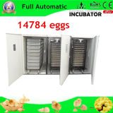 Automatic Big Incubator Hold 14784 Eggs
