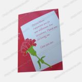 Recordable Greeting Cards, Greeting Cards, Holiday Card