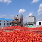 Tomato Sauce