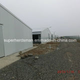 Full Set High Quality Prefab Steel Structure Poultry Houses