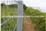 Grassland Fence/Field Fence/Cattle Fence/Farm Fence/Fence Netting