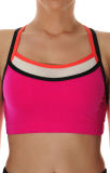 Women's Running Bra, Fitness Crop Top, Lingerie Activewear, Sports Wear
