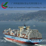 Efficient Sea Freight From China to La Guaira, Venezuela