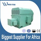 Industrial Electric Motor