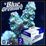 Blue Treasure Natural Reef Marine Salt (HZY001)