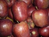 Good Delicious/for Global Market/Fresh Red Huaniu Apple (80-88)