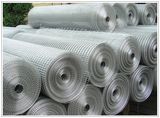 Welded Wire Mesh