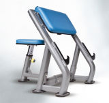 Certificated Gym Fitness Equipment / Seated Arm Curl (SS27)