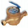 Water Meter (XX-NS)