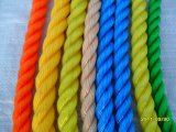 Color Ropes