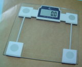 Body Scale (CS-103)