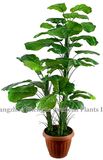 Artificial Greenery Plants (evergreen decoration)