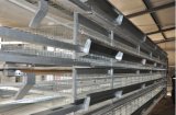 H Type Automatic Chicken Cage for Poultry Farm