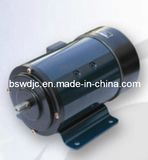 DC Servo Motor