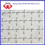 Galvanized Crimped Wire Mesh (TYB-0011)