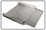 Platform Scale