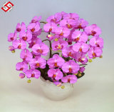 High Quality Artificial Silk Real Touch Butterfly Orchid