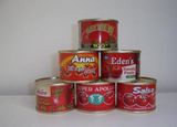 Canned Tomato Paste