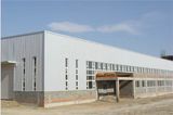 Wide Span Light Steel Structure Building