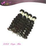 Wholesale Virgin Brazilian Deep Wave Hair