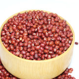Chinese Small Square Red Kidney Beans