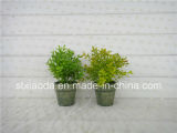 Artificial Plastic Potted Flower (XD15-366D)