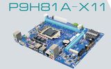 OEM/ODM Motherboard H61, H81