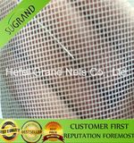 Plain Weaved White Screen Net, PP/PE Square Net