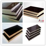 Waterproof Function Film Faced Plywood